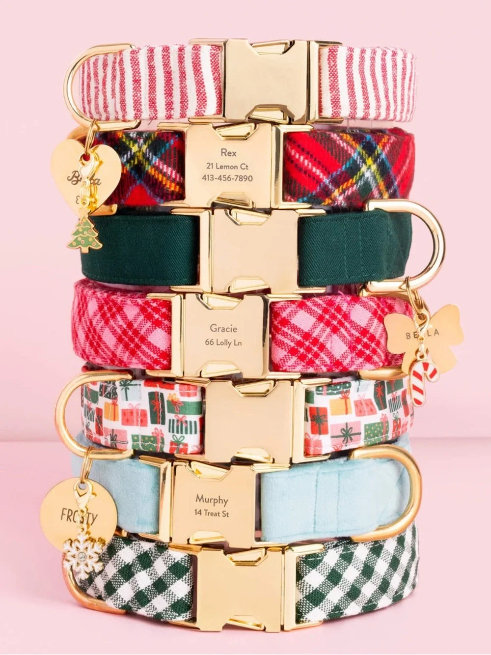 The Foggy Dog Gold Buckle Collar with Red and White Stripes XS
